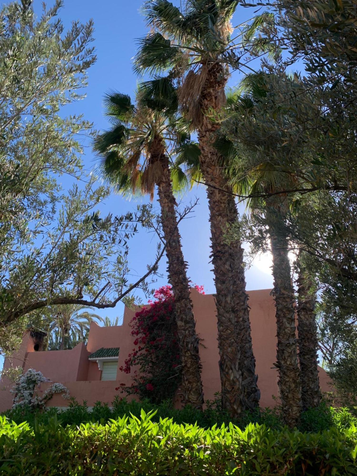 Villa Avec Piscine Privatisee A La Palmeraie Marrakesh Exterior photo